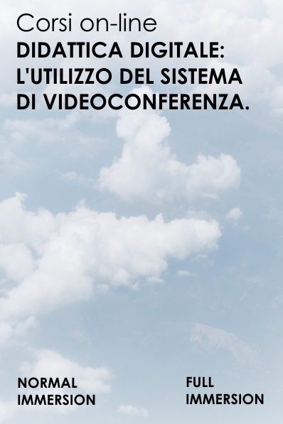 Videoconferenza corso on-line 100 Ore by Assodolab